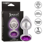 Jewel Amethyst Plug Large