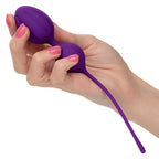 Kegel Training 3 Piece Set