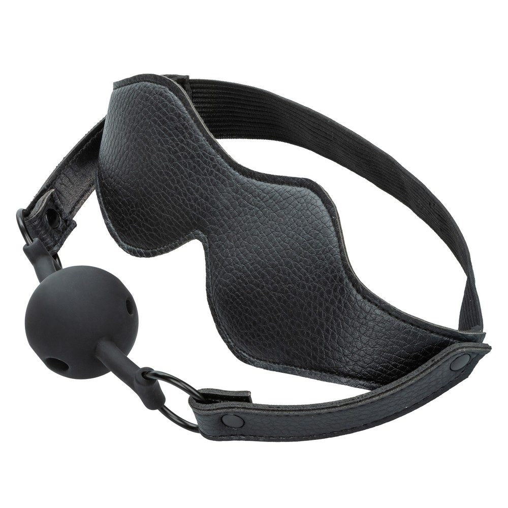 Nocturnal Collection Mask & Ball Gag