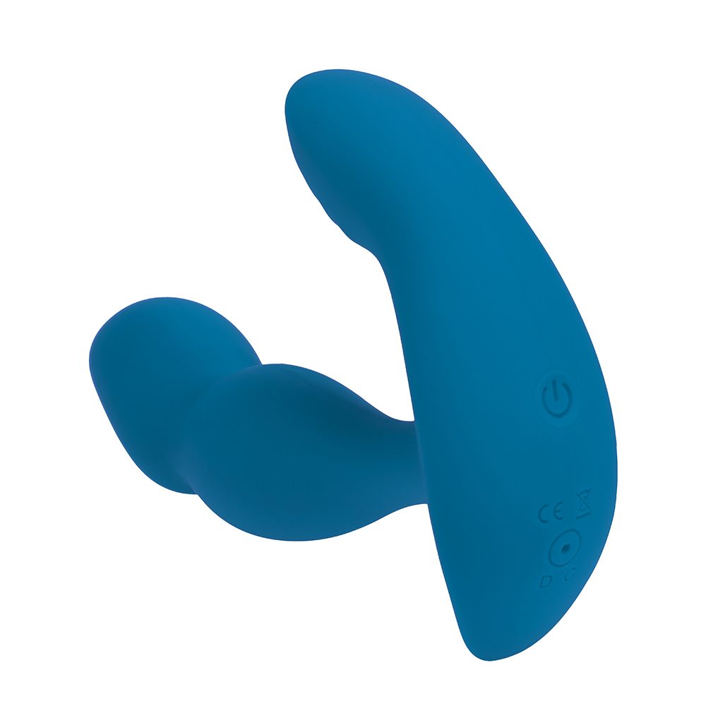 LevelZ Dual Motor Vibe Prostate Massager Teal